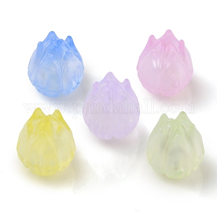 Transparent Acrylic Beads&nbsp;X-OACR-K005-13-1