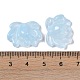 Baking Paint Glass Beads&nbsp;GLAA-S202-13D-3