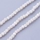 シェルビーズ連売り  多面カット  ラウンド  2~2.5mm  穴：0.5mm  約180~200個/連  14.5~16.1インチ（37~41cm）&nbsp;G-F619-27-2mm-1