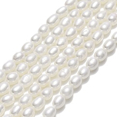 Natural Cultured Freshwater Pearl Beads Strands, Rice, Linen, 4~4.5x3~3.5mm, Hole: 0.5mm, about 84~85pcs/strand, 14.37''~14.56