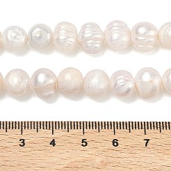 Natural Cultured Freshwater Pearl Beads Strands&nbsp;PEAR-L034-12G