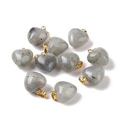 Natural Labradorite Pendants&nbsp;G-I311-A03-G