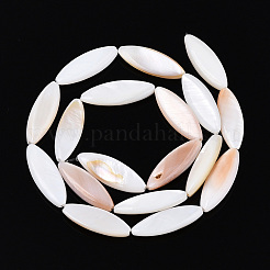 Natural Freshwater Shell Beads Strands&nbsp;PBB220Y-1-01