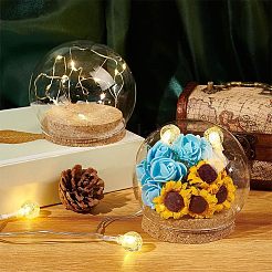 2 Sets High Borosilicate Glass Dome Cover&nbsp;DJEW-NB0001-19