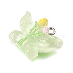 Transparent Resin Pendants&nbsp;RE-CBAA178-05P