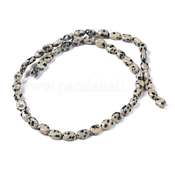 天然石ダルメシアンジャスパービーズ連売り  オーバル  8x6x3.5~4mm  穴：1mm  約45~52個/連  15.16~15.74インチ（38.5~40cm）&nbsp;G-Z006-A31