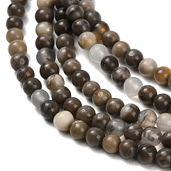 Natural Volcanic Agate Beads Strands&nbsp;G-G305-A01-4mm