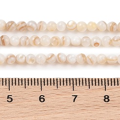 Natural Freshwater Shell Beads Strands&nbsp;X-SHEL-T011-02-3mm