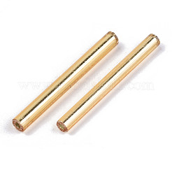 電気メッキガラスラッパビーズ  丸い穴  メタリックカラー  黄金メッキ  25x2.5mm  穴：1mm  約1800個/袋&nbsp;SEED-S043-02B-01
