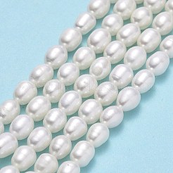 天然養殖淡水パールビーズ連売り  ライス  リネン  6.5~7.5x5~5.5mm  穴：0.6mm  約53個/連  14.17''（36センチメートル）&nbsp;PEAR-J006-17E-01