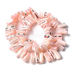 Dyed Natural Trochus Shell Beads Strands&nbsp;SSHEL-C013-09L