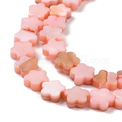 Natural Freshwater Shell Beads Strands&nbsp;SHEL-H002-03D