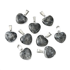 Natural Larvikite Pendants&nbsp;X-G-Q371-14