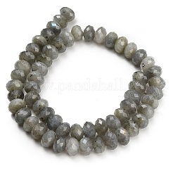 天然石ラブラドライトビーズ連売り  ロンデル  多面カット  9.5~10x6.5~7.5mm  穴：1mm  約54~57個/連  15.24~15.43''（38.7~39.2センチメートル）&nbsp;G-C280-A08-02