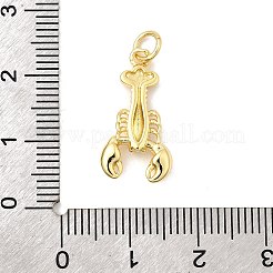 Brass Pendants&nbsp;KK-I364-06G-04
