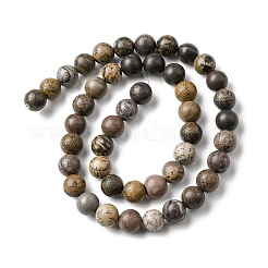 Natural Dendritic Jasper Beads Strands&nbsp;G-E598-01