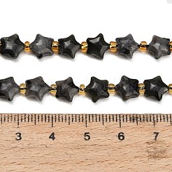 天然ラルビカイトビーズ連売り  チャンキースター  シードビーズで  7~8x7~8x4mm  穴：1mm  約45個/連  14.96''（38センチメートル）&nbsp;G-Z080-A29-8mm