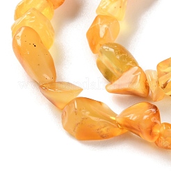 Natural Amber Beads Strands&nbsp;G-P497-01C-04