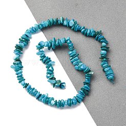 天然淡水シェルビーズ連売り  チップ  染め  ダークターコイズ  6~16x4~8x1~7mm  穴：1mm  約97~157個/連  15.75インチ（40cm）&nbsp;BSHE-I016-01A