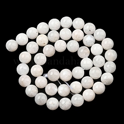天然レインボー ムーンストーン ビーズ 連売り  ラウンド  8mm  穴：0.8mm  約50~51個/連  15.75''（40センチメートル）&nbsp;G-N328-024-8mm