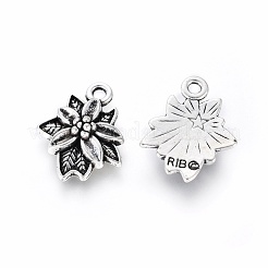 Tibetan Style Alloy Pendants&nbsp;TIBEP-GC103-AS-NR