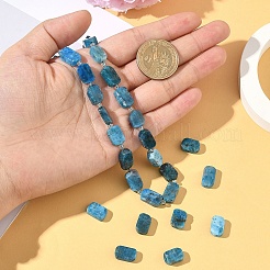 1 Strand Natural Apatite Beads Strands&nbsp;G-YW0002-96