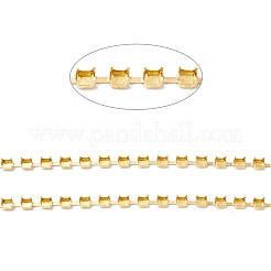 50M Rectangle Brass Rhinestone Claw Setting Chains&nbsp;CHC-C024-01C-G