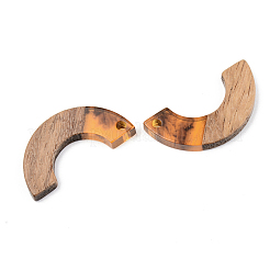 Resin & Walnut Wood Pendants&nbsp;LS-RESI-S389-007A-A01