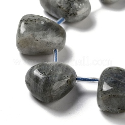 Natural Labradorite Beads Strands&nbsp;G-P528-E10-01