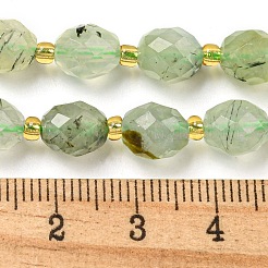 Natural Prehnite Beads Strands&nbsp;G-N342-58