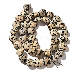 Natural Dalmatian Jasper Beads Strands&nbsp;G-R190-10mm-63