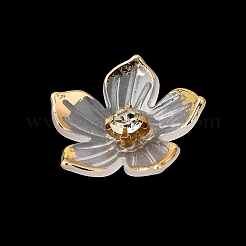 Transparent Resin Cabochons&nbsp;RE-CBADCDD-05