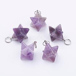 Natural Amethyst Pendants&nbsp;G-E398-01B
