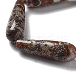 Natural Wealth Stone Jasper Beads Strands&nbsp;G-P528-H13-01