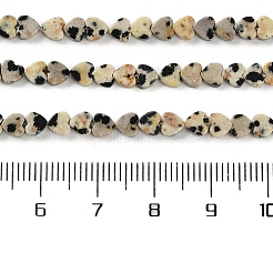 Natural Dalmatian Jasper Beads Strands&nbsp;G-M403-A31-01