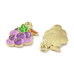 Fruit Alloy Enamel Charms&nbsp;PALLOY-S058-01LG-25