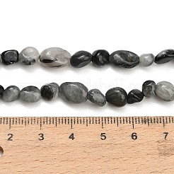 Natural Eagle Eye Stone Beads Strands&nbsp;G-D108-A02-04