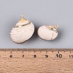 電気メッキ天然貝ペンダント  貝殻の形のチャーム  真鍮のループ付き  ゴールドカラー  貝殻色  20~23x17~22x14~18mm  穴：1.5~1.6mm&nbsp;BSHE-Q020-03