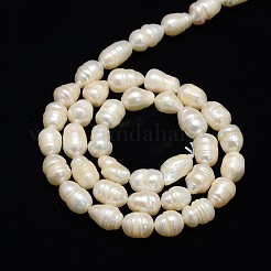 Natural Cultured Freshwater Pearl Beads Strands&nbsp;X-PEAR-L001-E-20