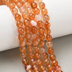 天然石瑪瑙ビーズ連売り  染め＆加熱  ラウンド  多面カット  砂茶色  6mm  穴：1mm  約62個/連  14.37~14.76インチ（36.5~37.5cm）&nbsp;G-C082-A01-62