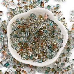 Spray Painted Glass Seed Beads&nbsp;SEED-A034-01A