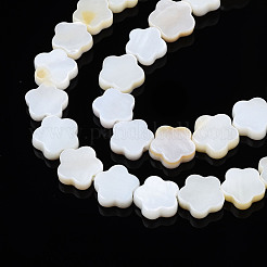 天然淡水シェルビーズ連売り  花  貝殻色  8~9x8~9x2.5mm  穴：0.8mm  約47~48個/連  14.88インチ〜15.24インチ（37.8cm〜38.7cm）&nbsp;SHEL-S278-078A-01