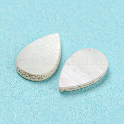 Natural Sea Shell Cabochons&nbsp;SHEL-D079-11
