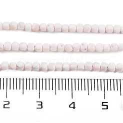 Natural Sea Shell Beads Strands&nbsp;G-H042-B33-01