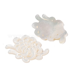 天然ホワイトシェル彫刻カボション  花  24x33.5x2.5mm&nbsp;SSHEL-C012-24C