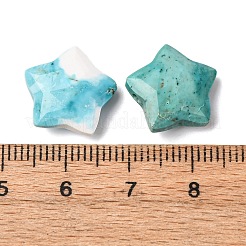 天然ハウライトチャーム  染め＆加熱  スター  多面カット  13~13.5x14~14.5x6~6.5mm  穴：0.8mm&nbsp;G-H241-04E
