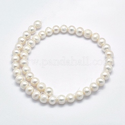 Natural Cultured Freshwater Pearl Beads Strands&nbsp;PEAR-F007-02-01