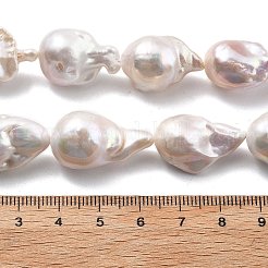 Natural Nucleated Pearl Beads Strands&nbsp;PEAR-B004-15J-05A