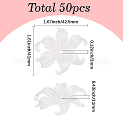 プラスチックビーズキャップ50個  花  フローラルホワイト  41x42.5x11mm  穴：3mm&nbsp;KY-BM0001-03