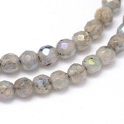 Natural Electroplate Labradorite Round Bead Strands&nbsp;G-O094-04-4mm